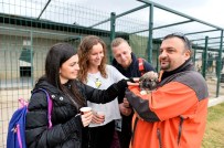 Erasmus Öğrencileri Sokak Hayvan Rehabilitasyon Merkezi'nde