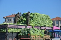 AHMET DURSUN - Kışlık Sebzeler Yüz Güldürüyor