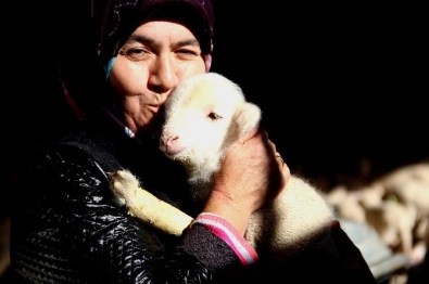 Sakat Kuzuya Anne Şefkati