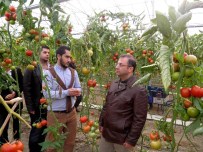 MUAMMER TÜRKER - Vali Türker, Seraları İnceledi