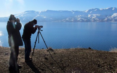 32 Türden 58 Bin 906 Adet Kuş Belirlendi