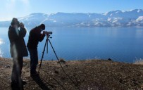 32 Türden 58 Bin 906 Adet Kuş Belirlendi