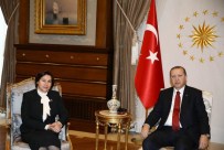 DANIŞTAY BAŞKANI - Cumhurbaşkanı Danıştay Başkanıyla Görüştü