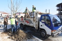 ALI FIDAN - Düzce'de Bulvarlara Ağaç Dikiliyor