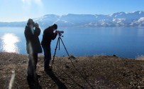 Elazığ'da 58 Binden Fazla Su Kuşu Tespit Edildi