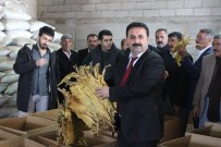 VIRGINIA - Solgun'dan Üreticilere Birlik Çağrısı