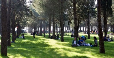 Antalya'nın Central Park'ı Dokuma