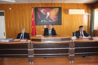 SARıYAPRAK - İl Genel Meclisi Üyeleri İlgili Maddeleri Komisyonlara Gönderdi