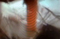 KASıRGA - Kasırga dehşeti kamerada