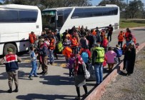 DOMINIK CUMHURIYETI - Kübalı Mülteciler