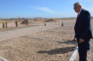 Nevşehir'in İlk Lale Bahçesi Gülşehir'de Yapıldı