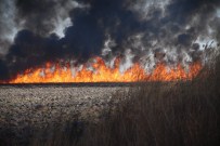 DOĞAL HAYATı KORUMA VAKFı - Silifke Göksu Deltası Kuş Cenneti'nde Yangın
