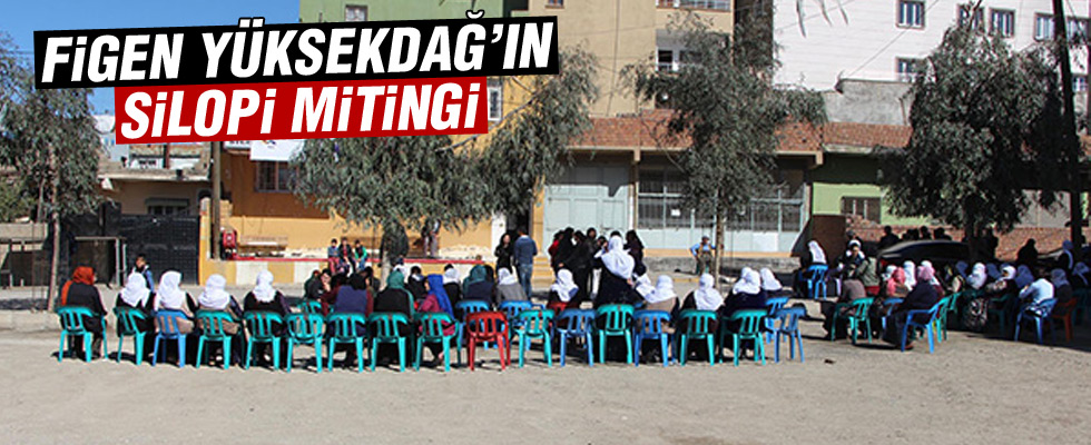 Silopililer HDP etkinliğine ilgi göstermedi