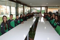 KULUÇKA MAKİNESİ - Voleybolun Yıldızları Büyükşehirden Çıkacak