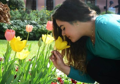 Antalya Sokaklarına 7 Milyon Çiçek