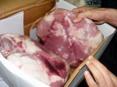 Aydın'da 52 Kilo Domuz ETİ Ele Geçirildi