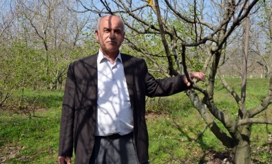 Bafra'da Toprak Analiz Laboratuvarı Açılıyor