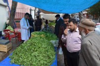 Baharın Müjdecisi Bitkiler Pazara İndi