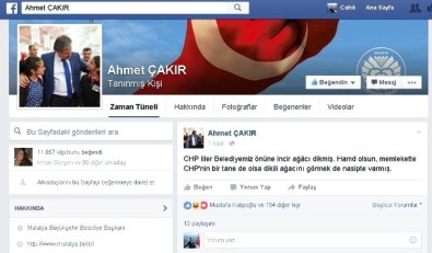 Belediye Önüne İncir Ağacı Diken CHP'lilere Esprili Gönderme