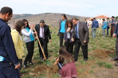 'Benim Okulum, Benim Fidanım' Projesi