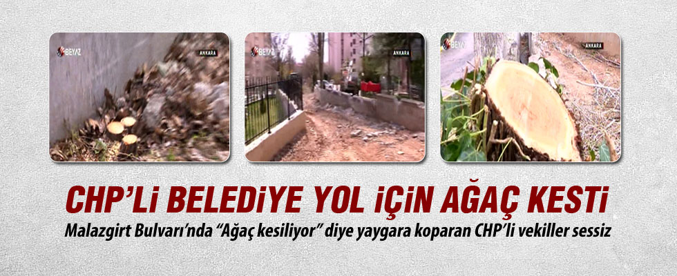 Çankaya Belediyesi yol için ağaç kesti