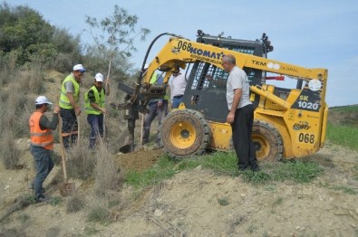 Ceyhan-Sarımazı Yolunda Çift Taraflı Ağaçlandırma Çalışması