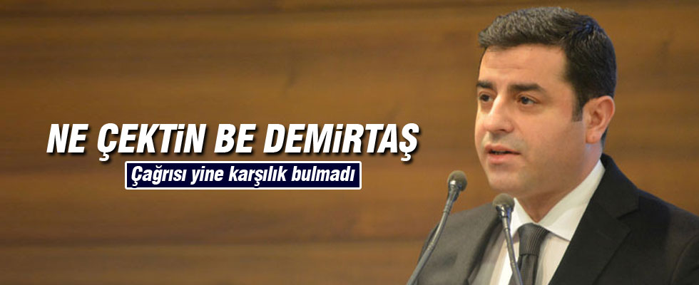 Demirtaş'ın çağrısı karşılık bulmadı