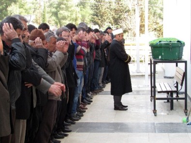 Güvercin Tutkunu Şahsın Cenazesinde, Arkadaşları Güvercin Uçurdu