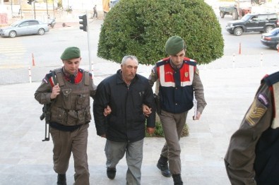 Marmaris'i Yakan Arıcı Mahkemede Serbest Kaldı