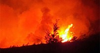 Marmaris'teki Orman Yangını Söndürülemiyor