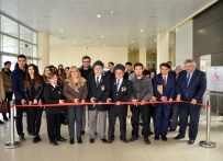 Mehmet Akif Ersoy Ve İstiklal Marşı Sergisi