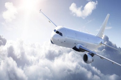 Motora Kuş Girdi Sefer İptal Oldu