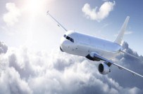 Motora Kuş Girdi Sefer İptal Oldu