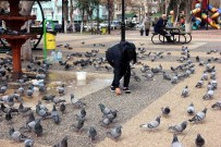Parkta Güvercin Besleyerek Stres Atıyorlar