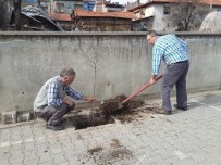 Şehitler Ortaokulu Bahçesine Fidan Dikildi
