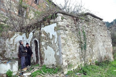 Selçuklu Hamamının Çatısında İncir Ağacı Çıktı