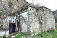 Selçuklu Hamamının Çatısında İncir Ağacı Çıktı