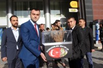 Ülkü Ocakları Kahramanlara Mektup Gönderdi