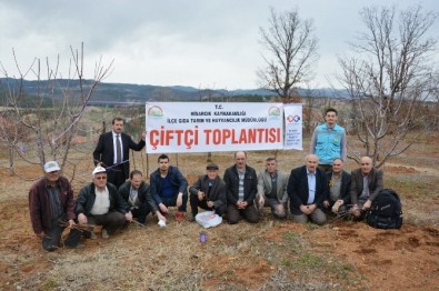 Üreticilere Uygulamalı Budama Ve Aşılama Eğitimi