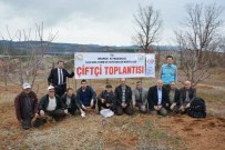 Üreticilere Uygulamalı Budama Ve Aşılama Eğitimi