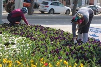 Lapseki İlçesinde Ağaçlandırma Çalışmaları