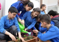 ORGANİK GIDA - Minik Öğrencilere Organik Tarım Yapma Fırsatı