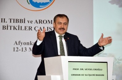 Orman Ve Su İşleri Bakanı Prof. Dr. Veysel Eroğlu Afyonkarahisar'da