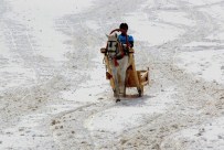 ZİYA GÖKALP - Palandöken'de Atlık Kızak Yarışı