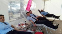 İNSAN VÜCUDU - Reyhanlı Belediye Zabıtası'ndan Kan Bağışı