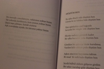 Vali Şentürk'ün Şiir Kitabı, Zülf-İ Siyahım Çıktı