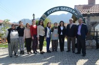 GÖZLEME - Asmek İle Hayalindeki İşyerini Açtı