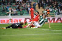 Timsah Seri Peşinde