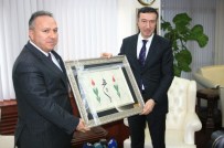 ALI FIDAN - Bakan Yardımcısı Çelik 'Arge'yi Sanayimizde Daha Hakim Kılalım Diye Uğraşıyoruz'