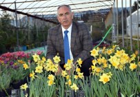 TıP BAYRAMı - İncirliova Çiçekleri Kendisi Üretiyor